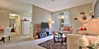 Summer Winds Gallery 24