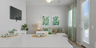 Sienna at South Mountain Gallery 5