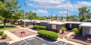 Icon on Stella Gallery 24