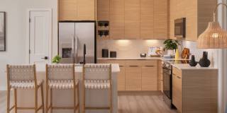 Aventon Lake Conway Gallery 2
