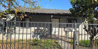 Sycamore Rd Gallery 12