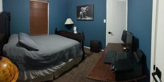 54 Basin Elm Gallery 13