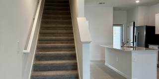 2329 Lesser Goldfinch Dr Gallery 6