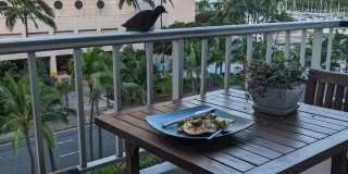 1690 Ala Moana Boulevard - 605 Gallery 1