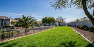 Octave Apartments Gallery 26