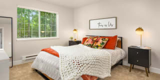 Canopy Gallery 15