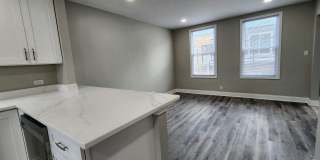 Brand new rehab luxury coach house in Albany Park Gallery 4