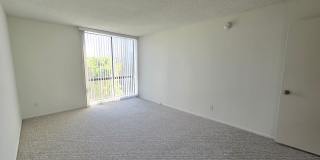 Hillside Terrace Gallery 104
