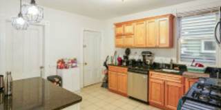 Huge, Beautiful, Fully Renovated Mission Hill 6 Bed/2 Bath on Sachem St for Sept 1st, 2026 Gallery 3