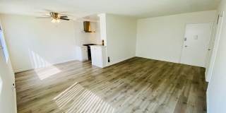 7010 Lanewood Avenue LLC Gallery 6