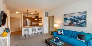 The Enclave Luxury Apartments Gallery 7