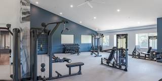 ReNew at the Greens Gallery 18