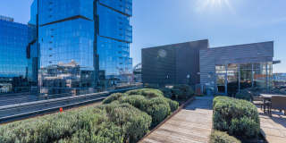 Stadium Place Gallery 35