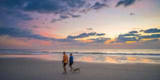 Olea Beach Haven Gallery 34