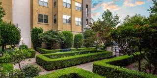 Paragon at Old Town Gallery 3