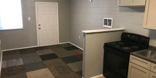 203 Morton St Unit 4 Gallery 1