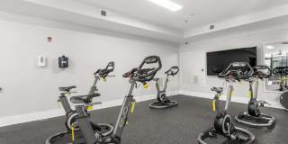 131 Ponce Gallery 22