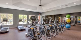 TGM Palm Aire Gallery 16