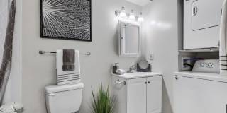 Tall Trees Gallery 5