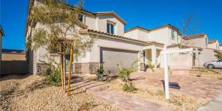 6955 STONE CACTUS Gallery 1