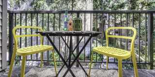 Northline Gallery 10