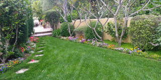 31641 Mar Vista Avenue Gallery 10
