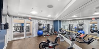 Sofi Lyndhurst Gallery 16