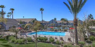 Palm Court Apartment Homes Gallery 12