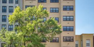 Circle Arms Gallery 1