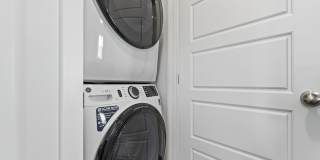 Amazon Falls Gallery 25