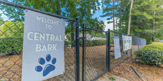 Tree Park Apartments Gallery 41