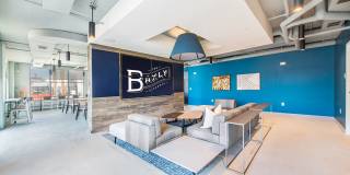 The Baxly Gallery 30