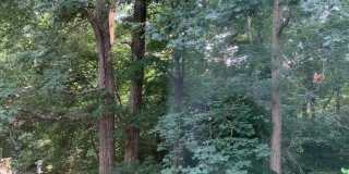 4618 BRIAR PATCH CT Gallery 36