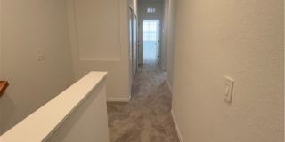 2951 Citrus Street Gallery 25