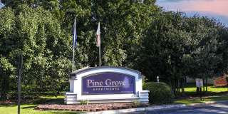 Pine Grove Apartments Gallery 17