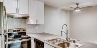 Larkspur Larkspur Gallery 10