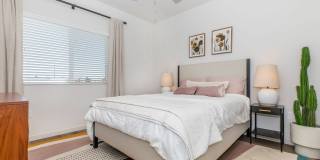 Brioso at the Bridges Gallery 32