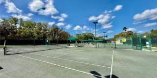 10222 DEVONSHIRE LAKE DRIVE Gallery 38