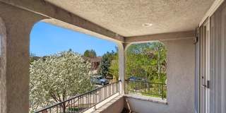 Beautiful 5 Bedroom Home in Windsor CO Gallery 50