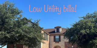 19332 Pencil Cactus Drive Gallery 1