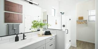 Canopy at Sundance Gallery 28