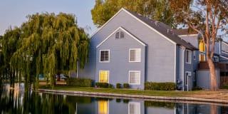 Lantern Cove Gallery 5