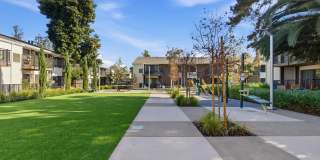 Lorien Ivy Apartments Gallery 29