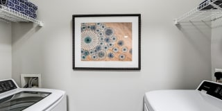 Regent's Park Gallery 18