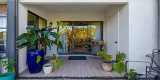 4143 Palm Forest Drive N Gallery 22