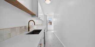 259 Laurel Avenue Gallery 11