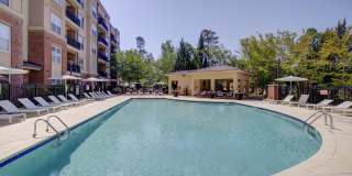 The Arboretum Apartments Gallery 42