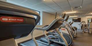 Shiplock Views Gallery 13