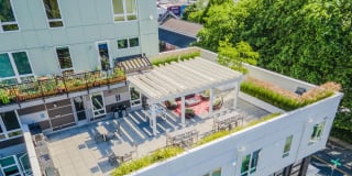 Edition Apartments Gallery 18