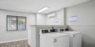 Compass Vista Gallery 11